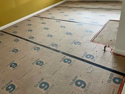 Photo of free Beige carpet (PE30) #3