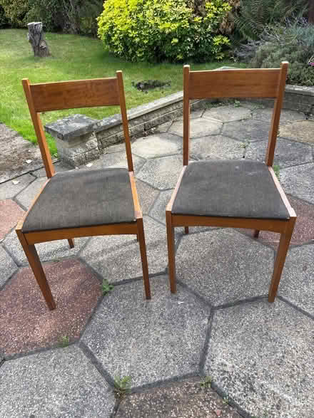 Photo of free Dining chairs (Chaddesden DE21) #1