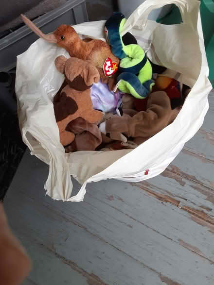Photo of free Large bag of beanie babies (Jamaica Plain) #1