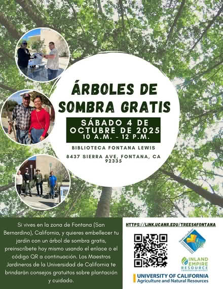 Photo of free Shade Tree Giveaway – Fontana (Fontana, California) #2