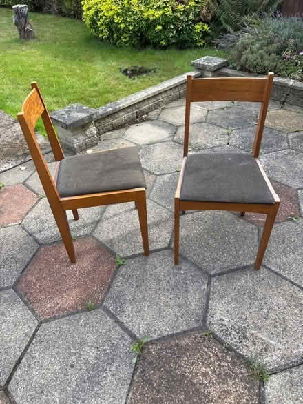 Photo of free Dining chairs (Chaddesden DE21) #2