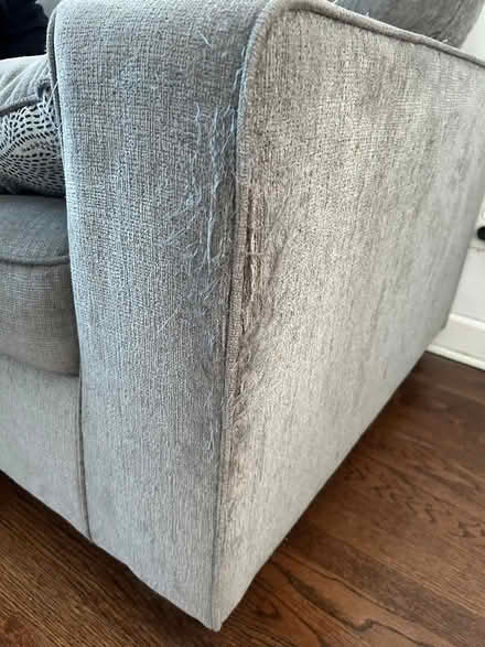 Photo of free sofa (Tri-Taylor, Chicago) #2