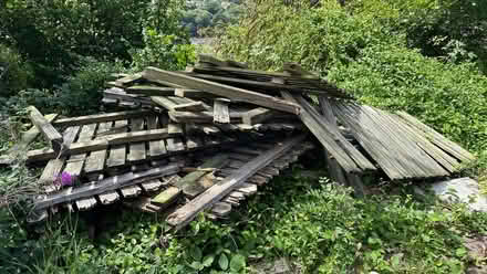 Photo of free wood (Pwll Gwaun CF37) #1