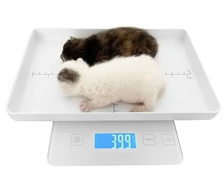 Photo of baby digital scale (Laytonsville) #1