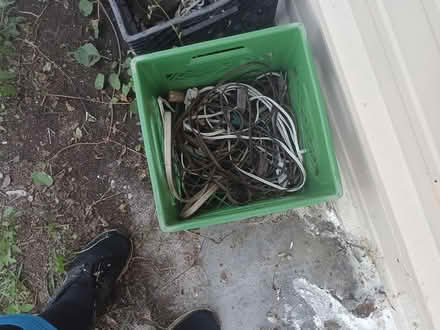 Photo of free extension cords (Largo near Ulmerton & Starkey) #1