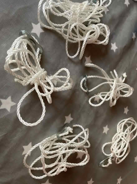Photo of free Guy ropes (Wallands Park BN7) #1