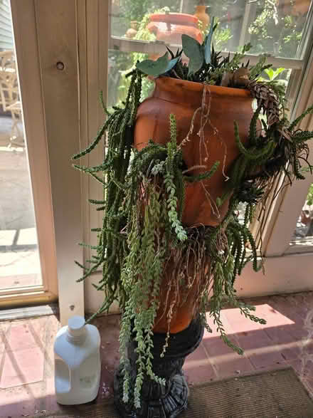 Photo of free Planter with plants (I 20& I 285 Decatur) #2
