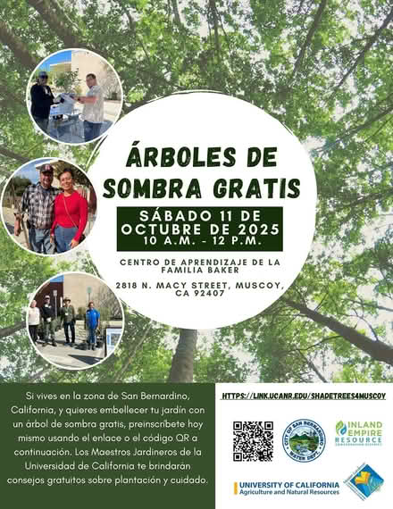 Photo of free Shade Tree Giveaway – Muscoy (Muscoy, California) #2