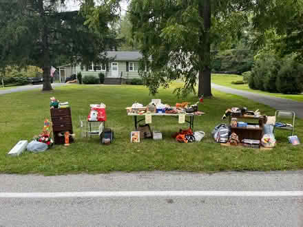 Photo of free in Newburgh (Town of Newburgh) #1