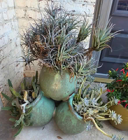 Photo of free Planter #2 (I 20& I 285 Decatur) #1