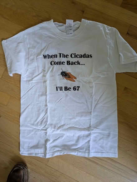 Photo of free T shirt cicada bday joke, 54 or 55 (near Old Town Gaithersburg) #1