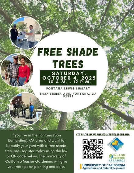 Photo of free Shade Tree Giveaway – Fontana (Fontana, California) #1