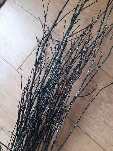 Photo of free Sparkly twigs (Kingsway) #2