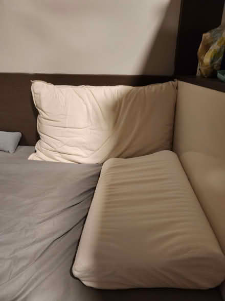 Photo of free Used pillows in great condition (Camden Town NW1) #1