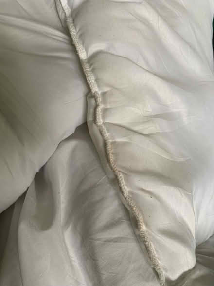 Photo of free Superking Primark duvet (Hulme M16) #3