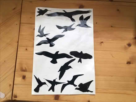 Photo of free Bird silhouettes (Central Lancaster LA1) #1