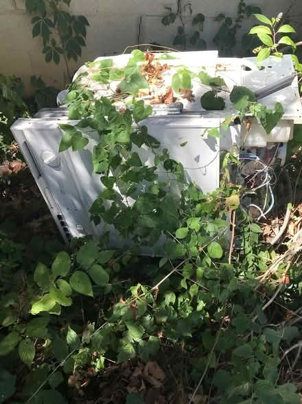 Photo of free Scrap washer and dishwasher (Wright View) #2