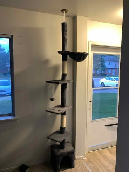 Photo of free Floor-to-ceiling cat tree (Taylor, off of telegraph) #1
