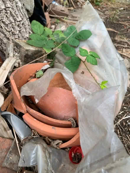 Photo of free Terracotta crocks (Lexden, CO3) #2