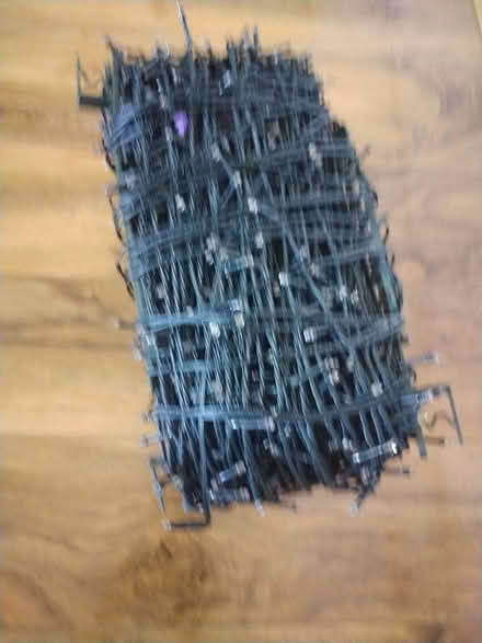 Photo of free Christmas lights outdoors or indoors (Old Town TN40) #1