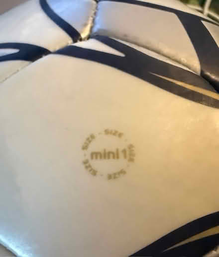 Photo of free Small Soccer Ball (Cupertino - DeAnza and 280) #2
