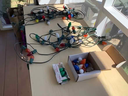 Photo of free Christmas lights (Brightwood, Washington D) #1