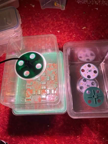 Photo of free Plant propagator (Beaumont LA1) #1