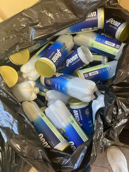 Photo of free Empty tennis ball cans (Balboa park) #2
