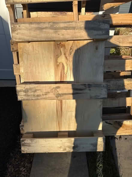 Photo of free Pallets (02840) #2