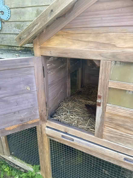 Photo of free Guinea pig hutch (Crowborough TN6) #3