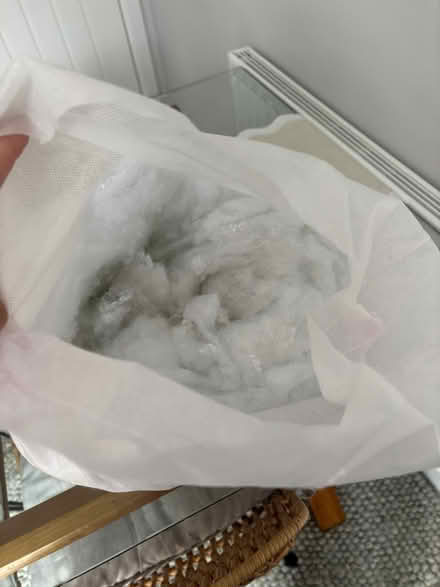 Photo of free Stuffing (Reabrook Estate SY2) #1