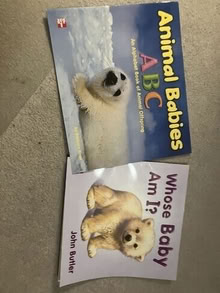 Photo of free Classroom Materials pre-K -2 #3