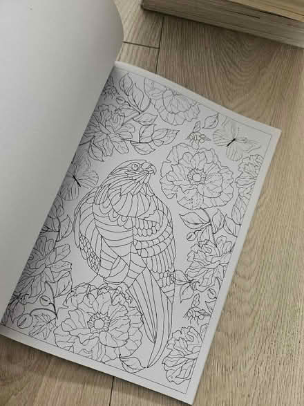 Photo of free Adult colouring book. Couple of pages coloured rest untouche (Perivale UB6) #2