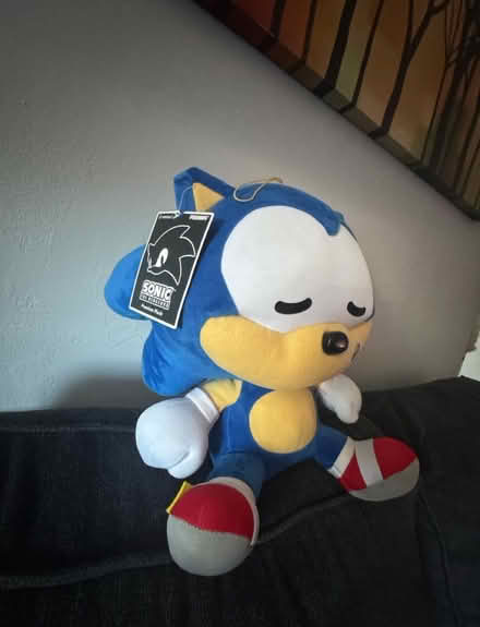 Photo of free Sonic Plush (Union City, NJ) #2