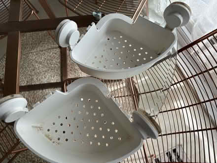 Photo of free Suction cup corner shower caddy (Ninelms SW8) #1