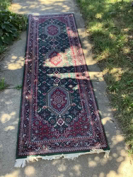 Photo of free Runner (Brightwood, Washington D) #1