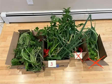 Photo of free freshly picked from my garden (Fair Lawn, NJ) #1