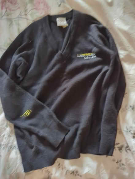 Photo of free Larkmead school jumper size 36 (Shippon OX13) #1