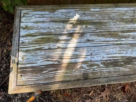 Photo of free Low wooden bench with shelf (Davis Square, Somerville) #3