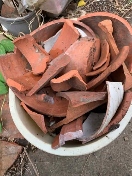 Photo of free Terracotta crocks (Lexden, CO3) #1