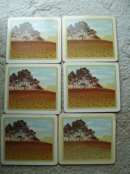 Photo of free 6 x table mats 21.5cm x 19cm (Kempsey WR5) #1