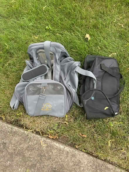 Photo of free Dog Carriers (Lombard) #1