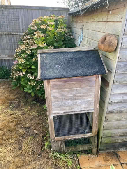 Photo of free Guinea pig hutch (Crowborough TN6) #2