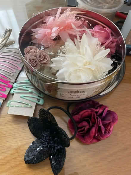 Photo of free Hair clips and accessories (Worthing BN14) #2