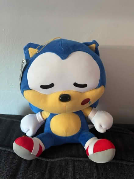 Photo of free Sonic Plush (Union City, NJ) #1