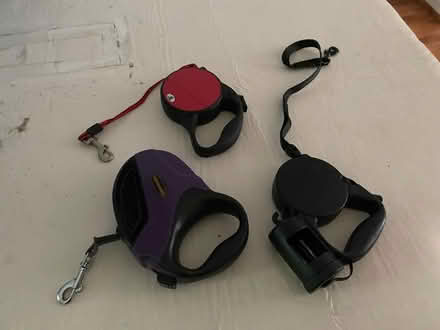 Photo of free Dog Leashes (East side of Columbia) #1