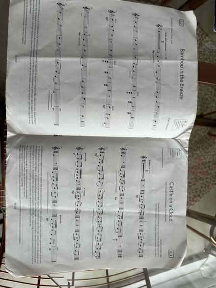 Photo of free Abram grade 2 violin syllabus (Ninelms SW8) #1