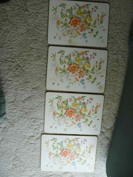 Photo of free 4 x tablemats 29cm x 21cm (Kempsey WR5) #1