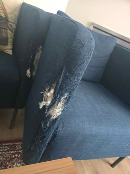 Photo of free Ikea Ekero chair, cat scratched (Kitsilano) #3