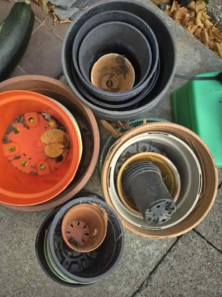 Photo of free plant pots (Hollinswood TF3) #1